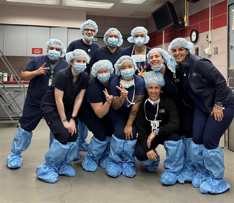 63d4743d-33e5-4653-a3f4-e5a04724d3e3