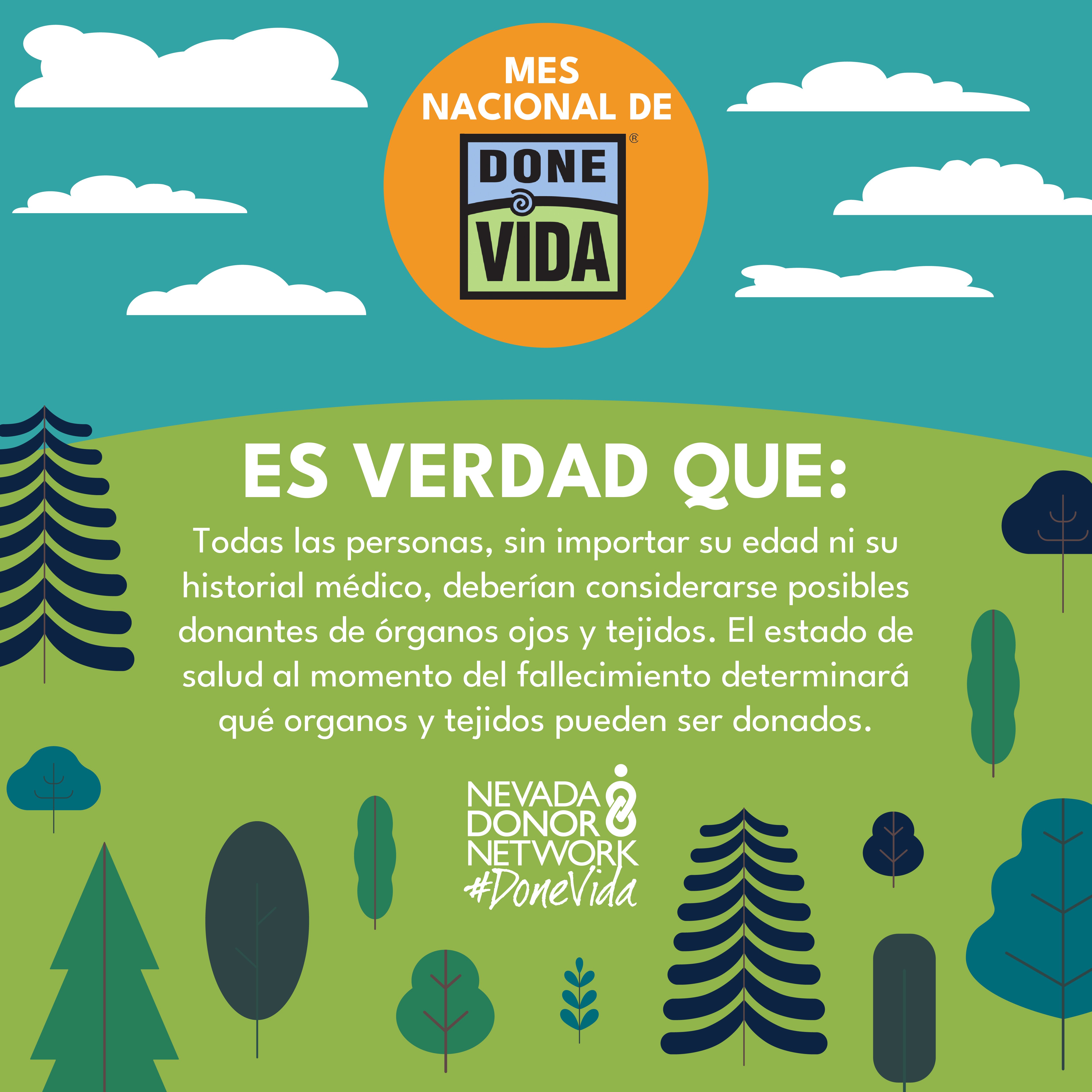 DLM2026-SocialGraphics-Spanish_fact-06