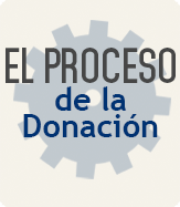 Donation Process