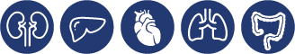 organs-icons