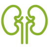 kidney-icon