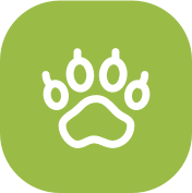 5f0661814f0c2113b310bdb5_paw 5f0661814f0c2113b310bdb5_paw