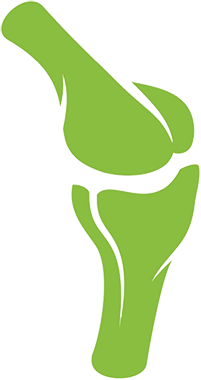 bone-connective-tissue-icon bone-connective-tissue-icon