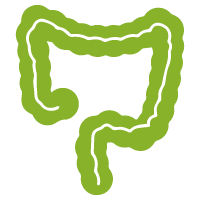 intestines-icon intestines-icon