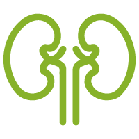 kidney-icon kidney-icon