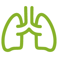 lung-icon lung-icon