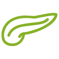 pancreas-icon pancreas-icon