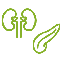 pancreas-kidney-icon pancreas-kidney-icon